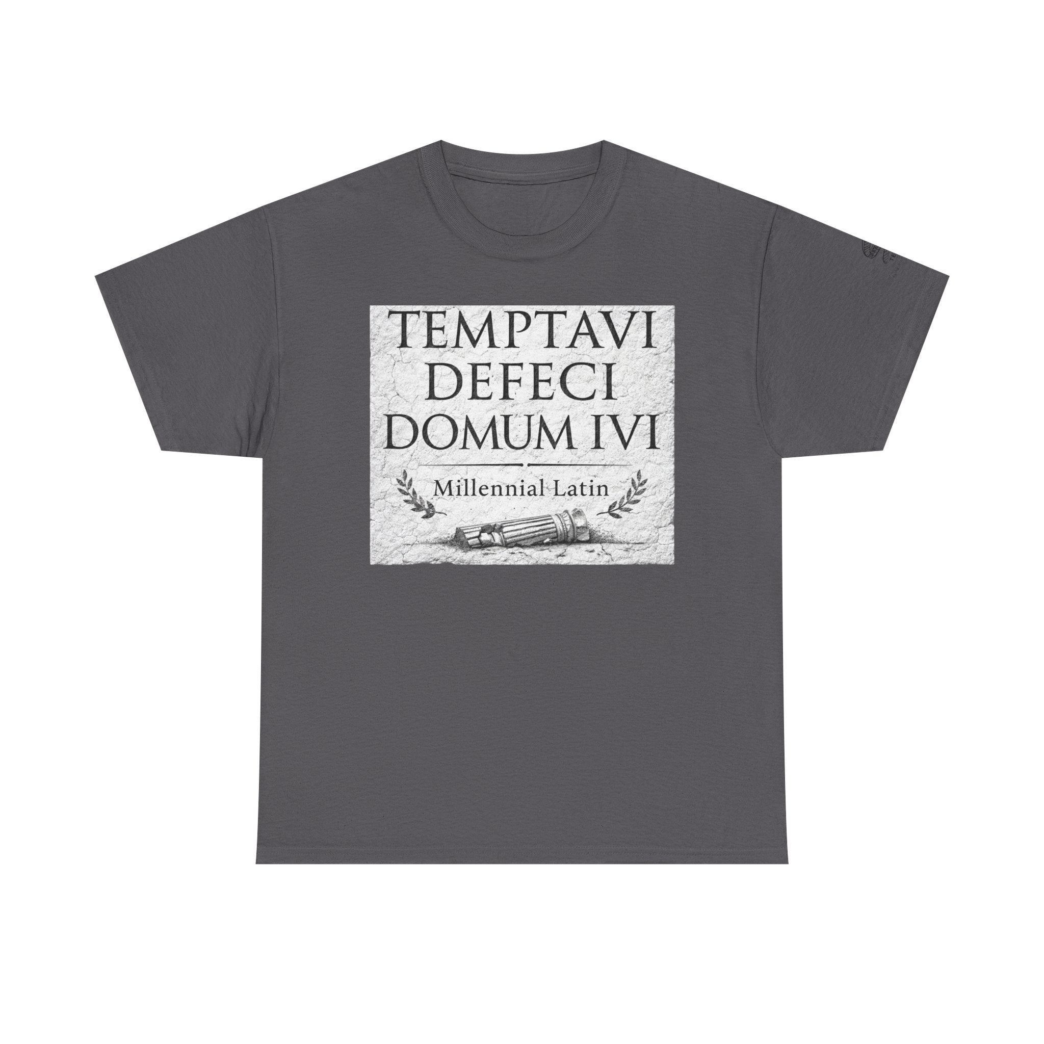 "Temptavi Defeci Domum Ivi" Millennial Latin Design