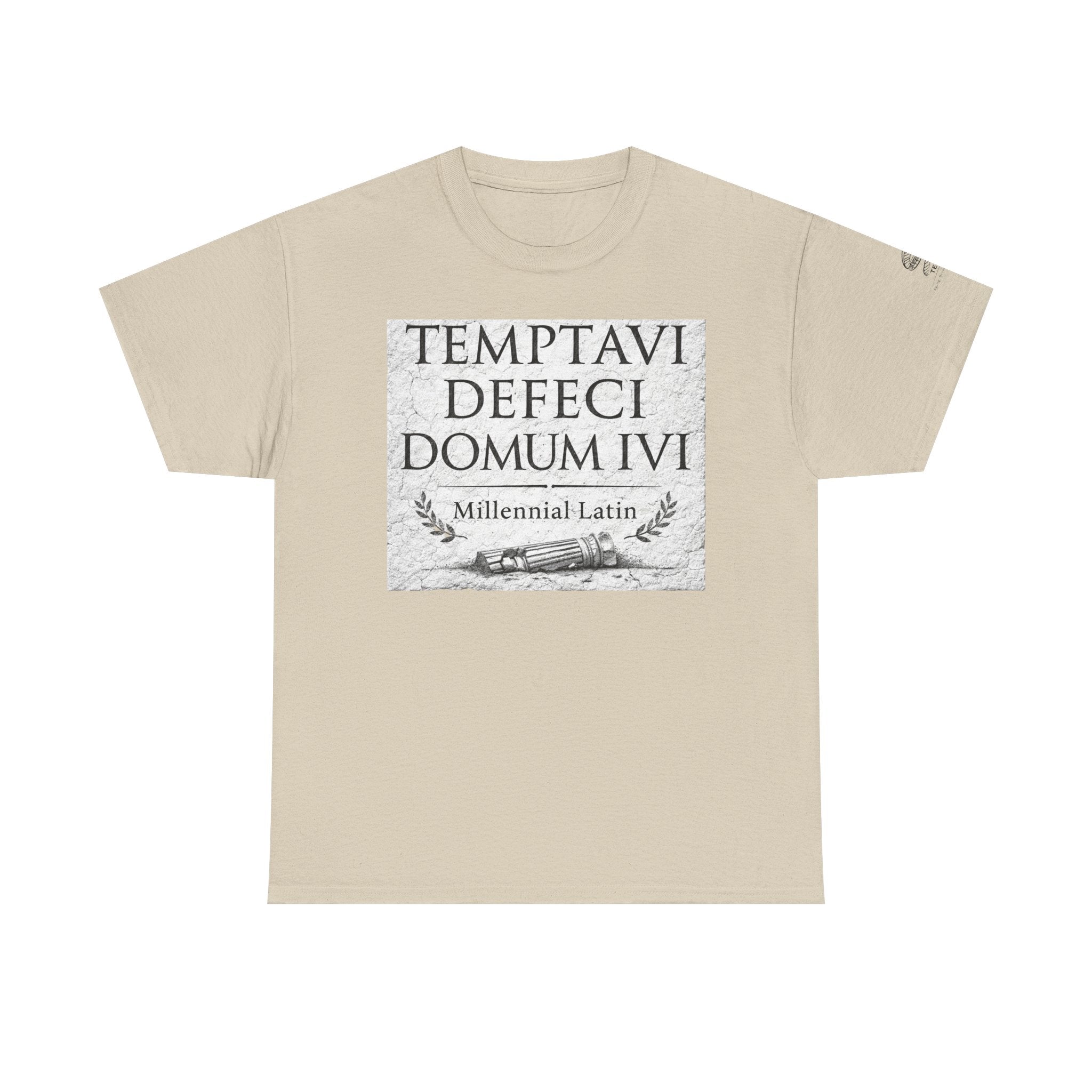 "Temptavi Defeci Domum Ivi" Millennial Latin Design