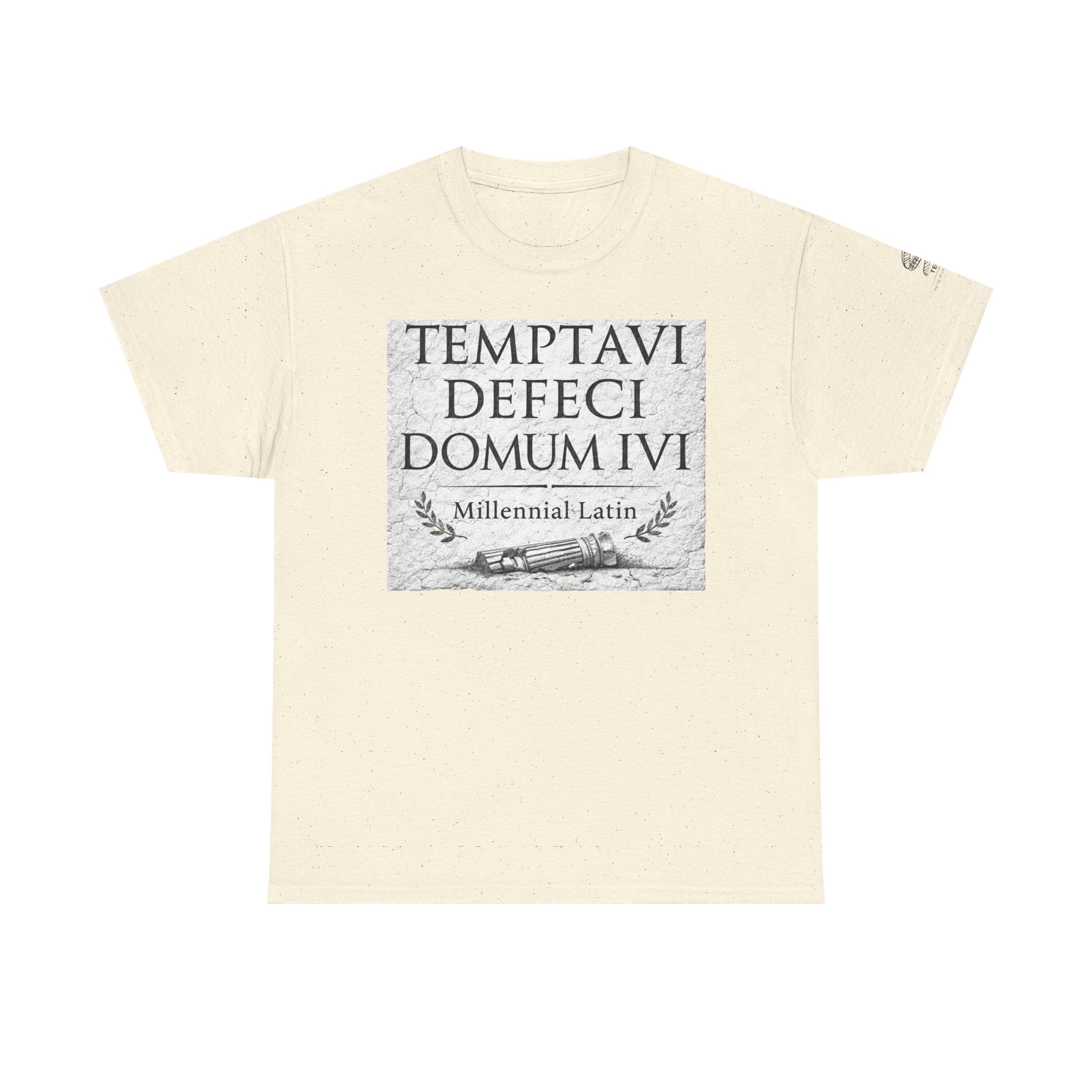"Temptavi Defeci Domum Ivi" Millennial Latin Design